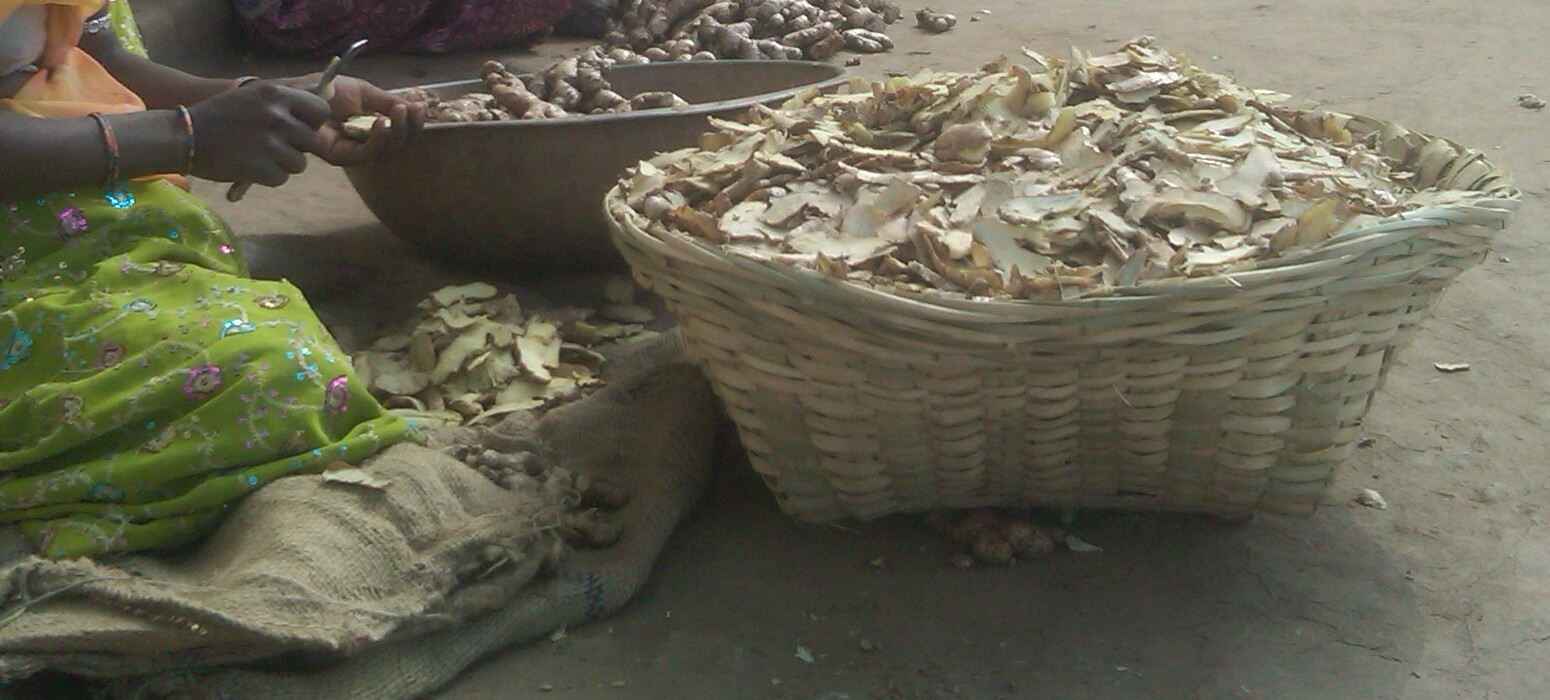 Ginger processing from Sagar Saxena's personal archive
