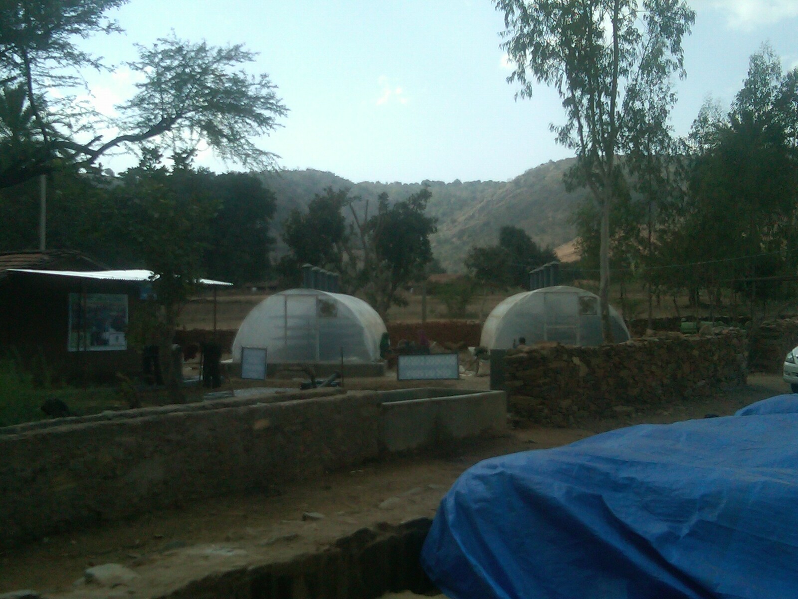 Greenhouses from Sagar Saxena's early agriculture work in India